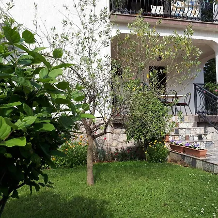 Karinovo Apartment